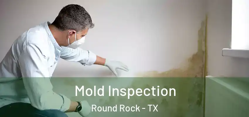  Mold Inspection Round Rock - TX