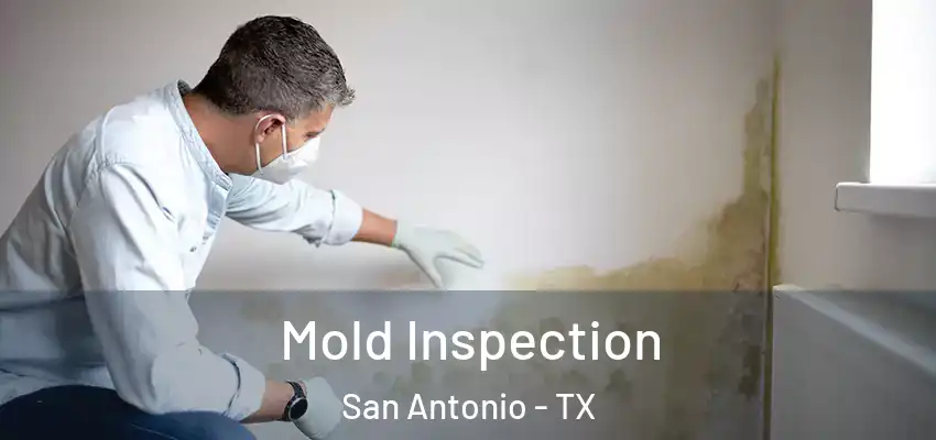  Mold Inspection San Antonio - TX