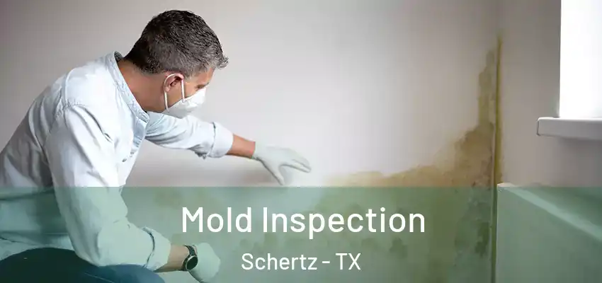  Mold Inspection Schertz - TX
