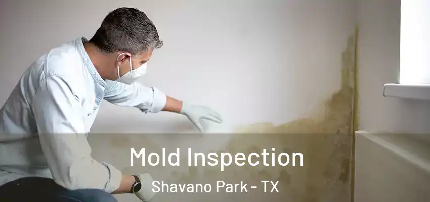  Mold Inspection Shavano Park - TX