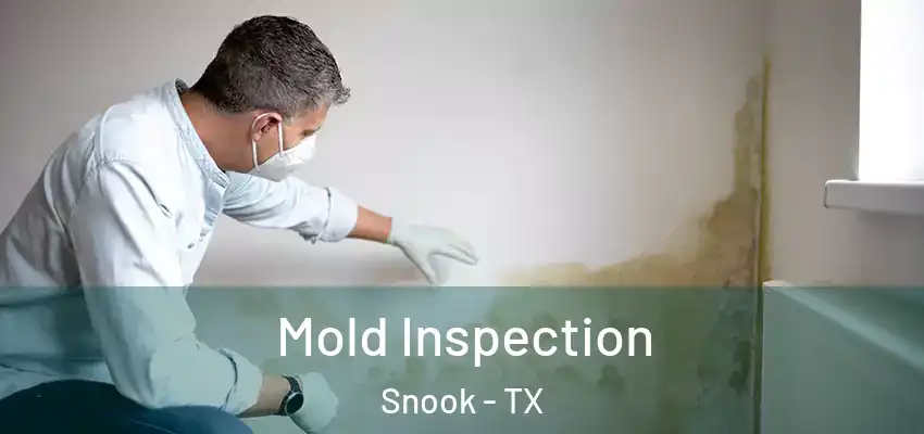  Mold Inspection Snook - TX