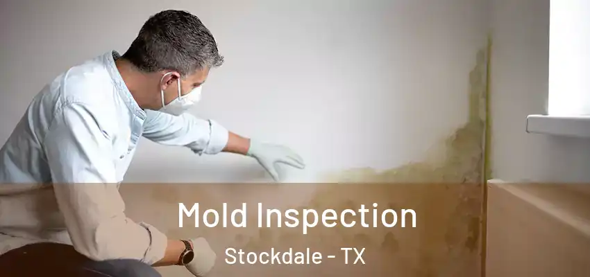  Mold Inspection Stockdale - TX