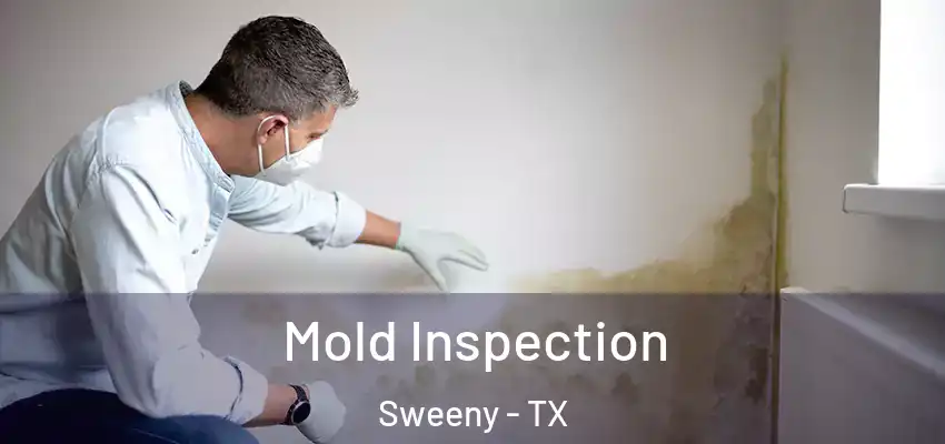  Mold Inspection Sweeny - TX