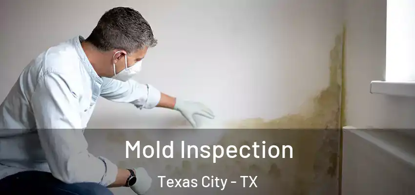  Mold Inspection Texas City - TX
