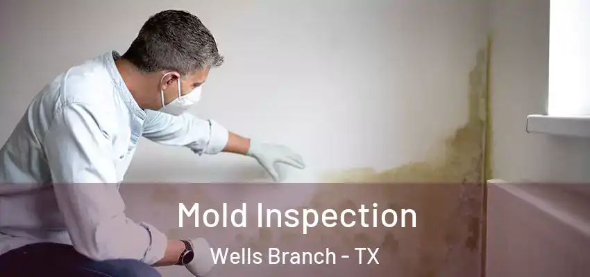 Mold Inspection Wells Branch - TX