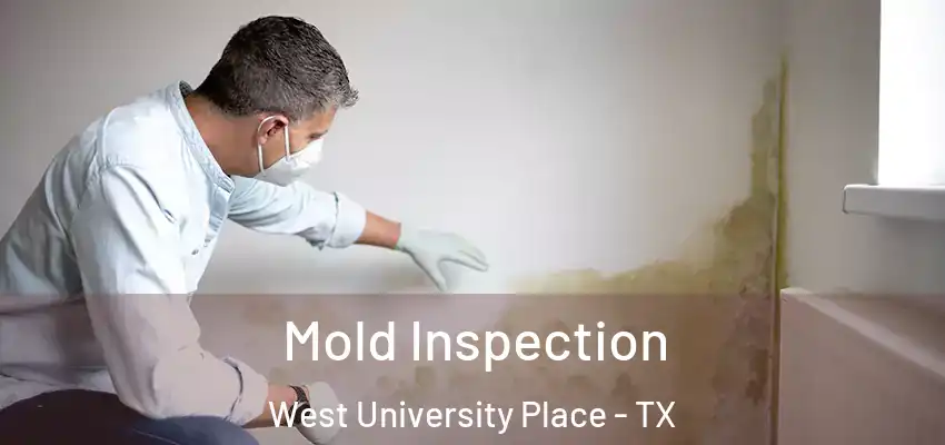  Mold Inspection West University Place - TX