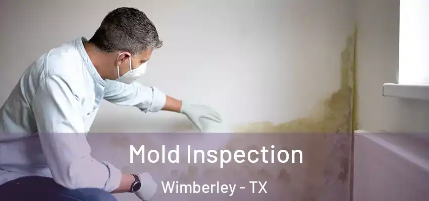  Mold Inspection Wimberley - TX