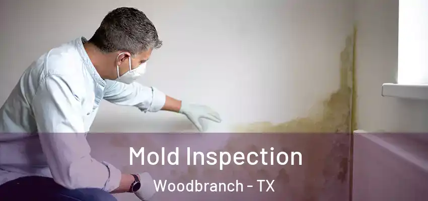  Mold Inspection Woodbranch - TX