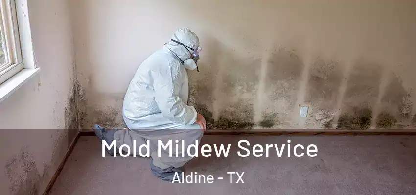  Mold Mildew Service Aldine - TX