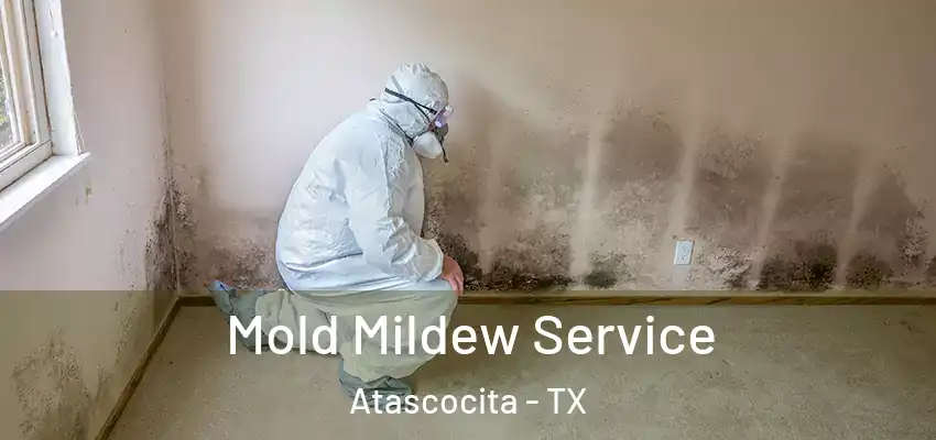  Mold Mildew Service Atascocita - TX