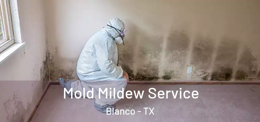  Mold Mildew Service Blanco - TX
