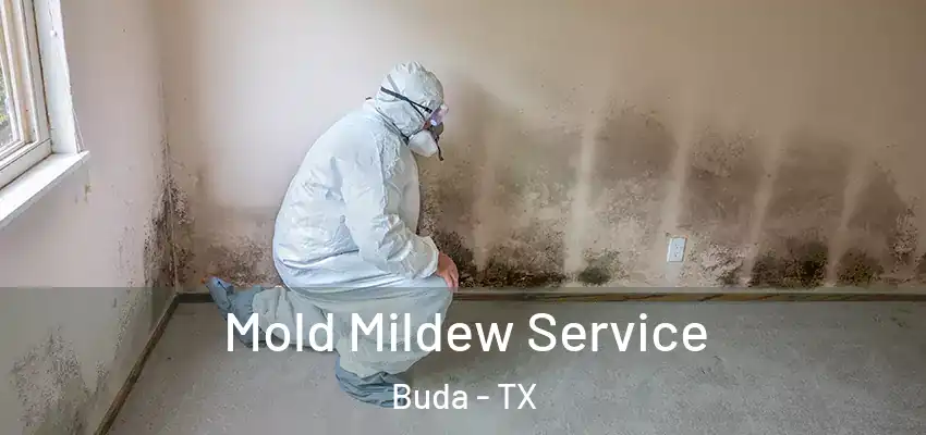  Mold Mildew Service Buda - TX