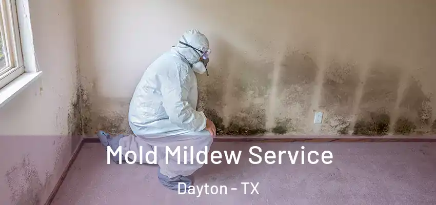  Mold Mildew Service Dayton - TX