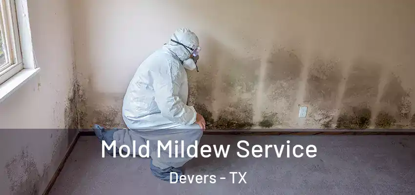  Mold Mildew Service Devers - TX