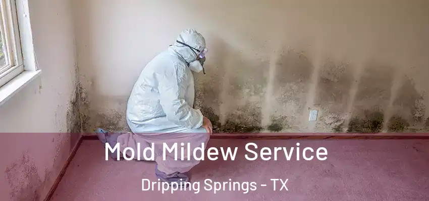  Mold Mildew Service Dripping Springs - TX