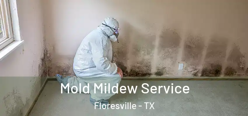  Mold Mildew Service Floresville - TX