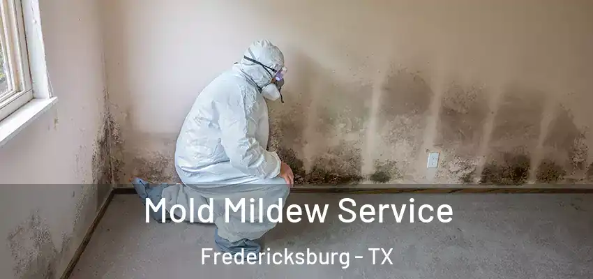  Mold Mildew Service Fredericksburg - TX
