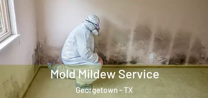  Mold Mildew Service Georgetown - TX