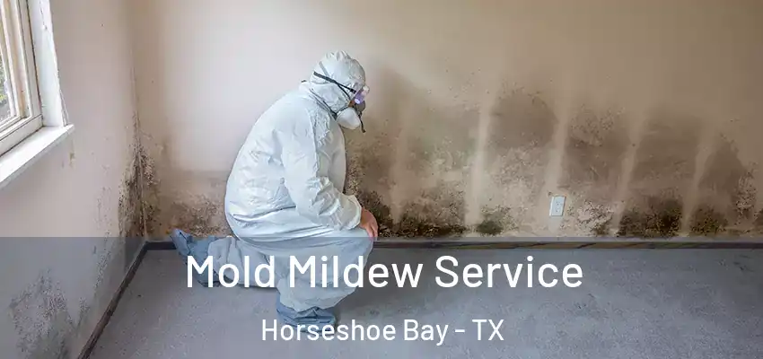  Mold Mildew Service Horseshoe Bay - TX
