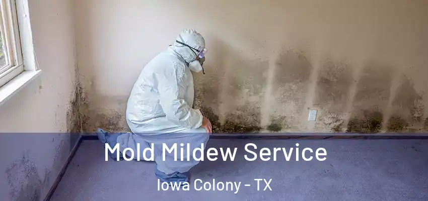  Mold Mildew Service Iowa Colony - TX
