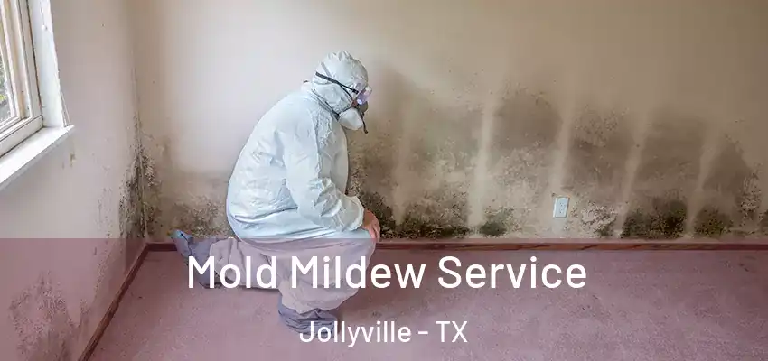  Mold Mildew Service Jollyville - TX