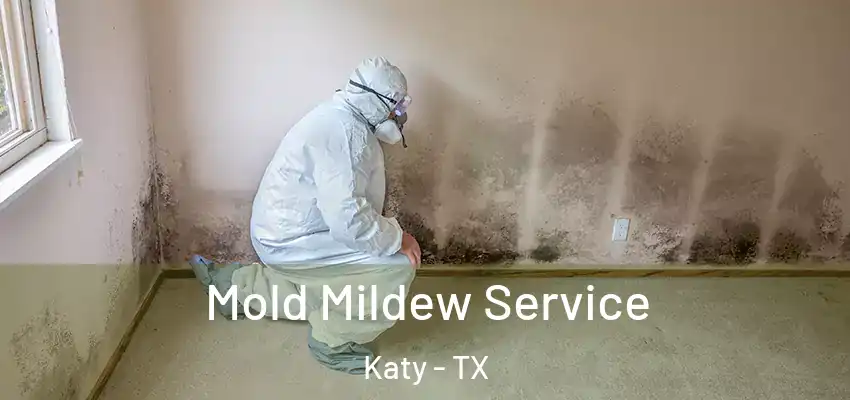  Mold Mildew Service Katy - TX