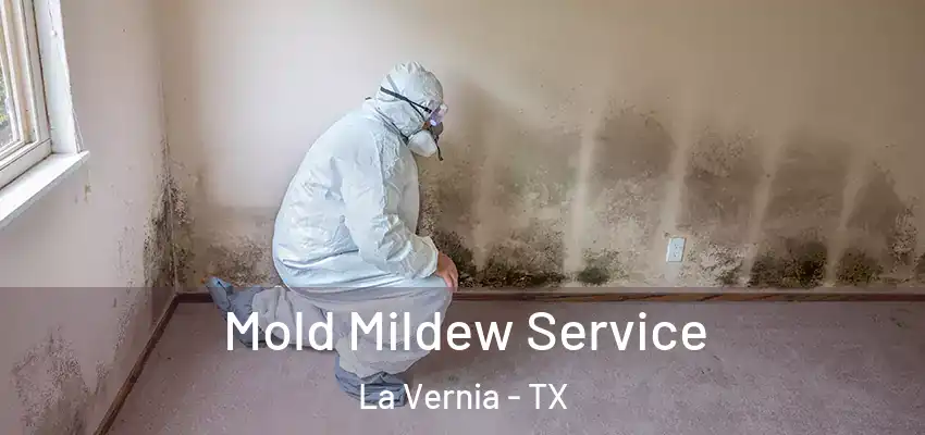  Mold Mildew Service La Vernia - TX