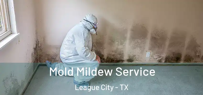  Mold Mildew Service League City - TX