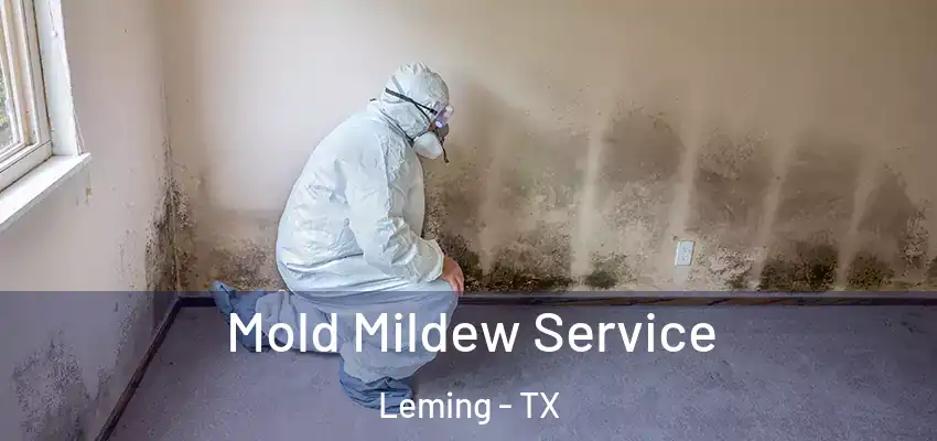  Mold Mildew Service Leming - TX