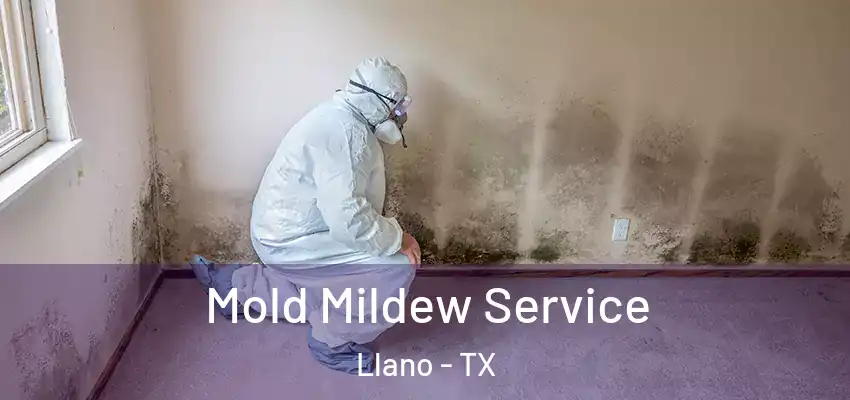  Mold Mildew Service Llano - TX