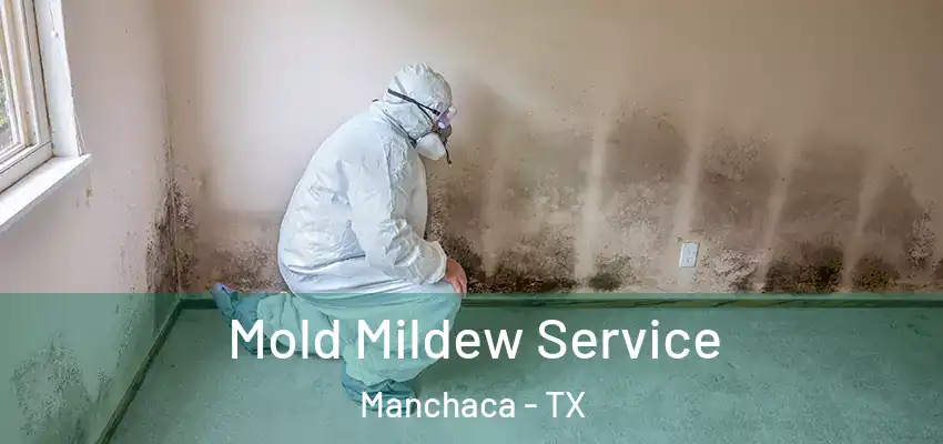  Mold Mildew Service Manchaca - TX