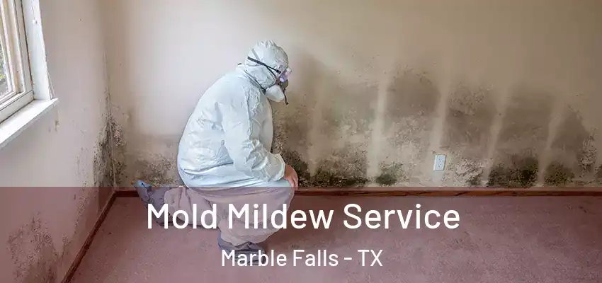  Mold Mildew Service Marble Falls - TX