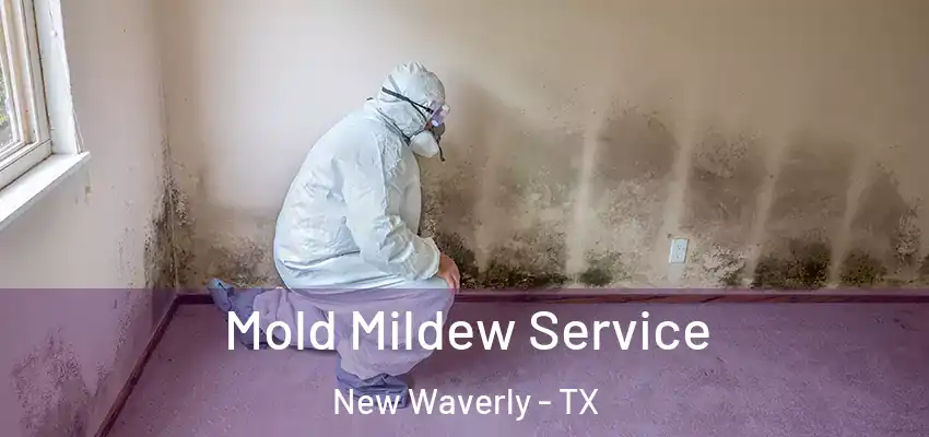  Mold Mildew Service New Waverly - TX