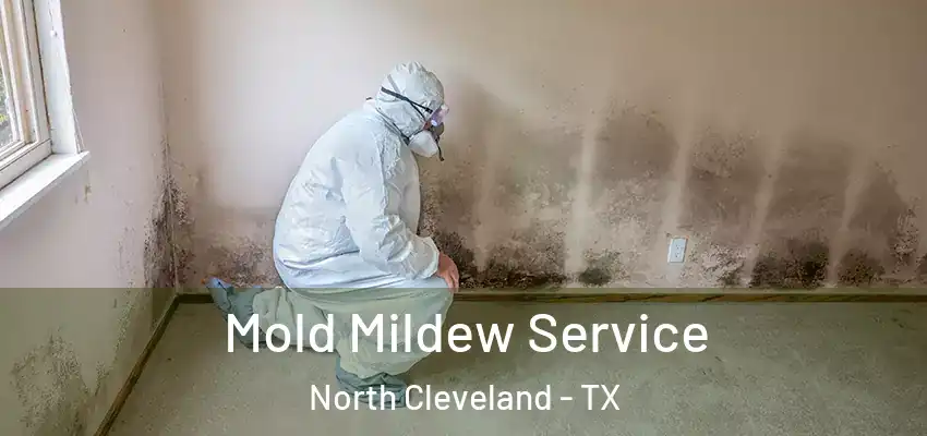  Mold Mildew Service North Cleveland - TX