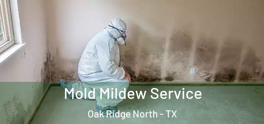  Mold Mildew Service Oak Ridge North - TX