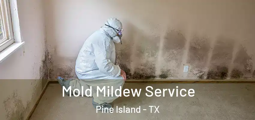  Mold Mildew Service Pine Island - TX