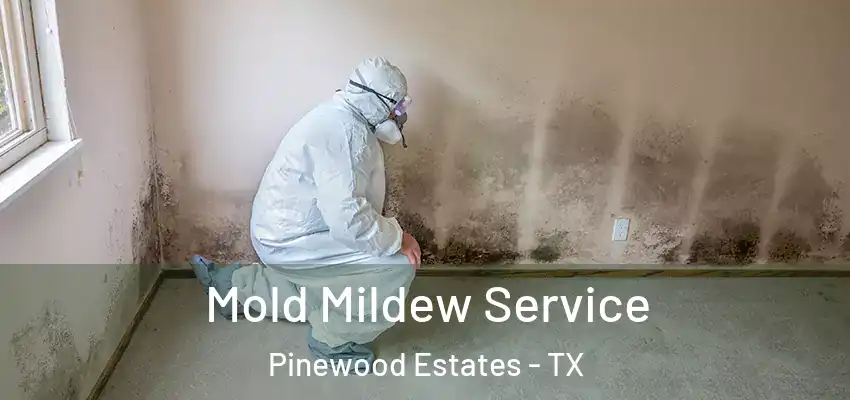  Mold Mildew Service Pinewood Estates - TX