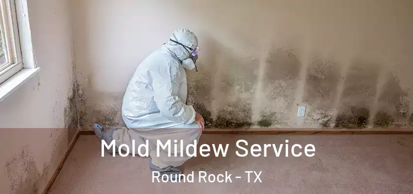 Mold Mildew Service Round Rock - TX