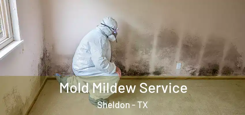  Mold Mildew Service Sheldon - TX