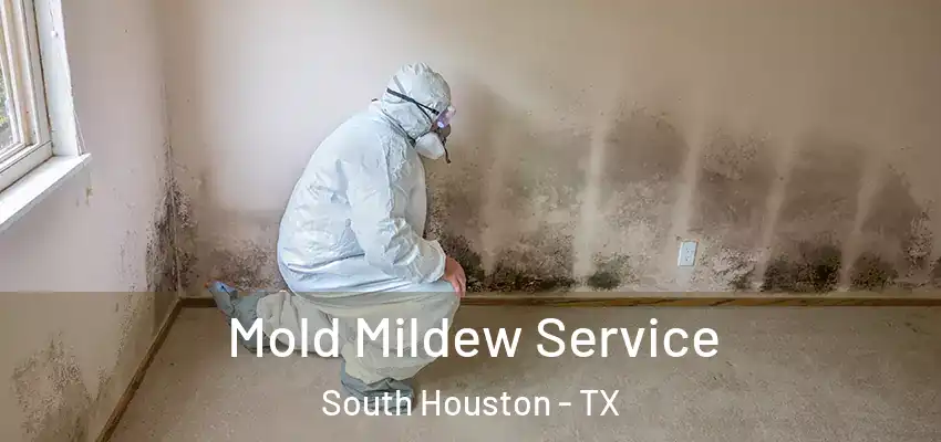  Mold Mildew Service South Houston - TX