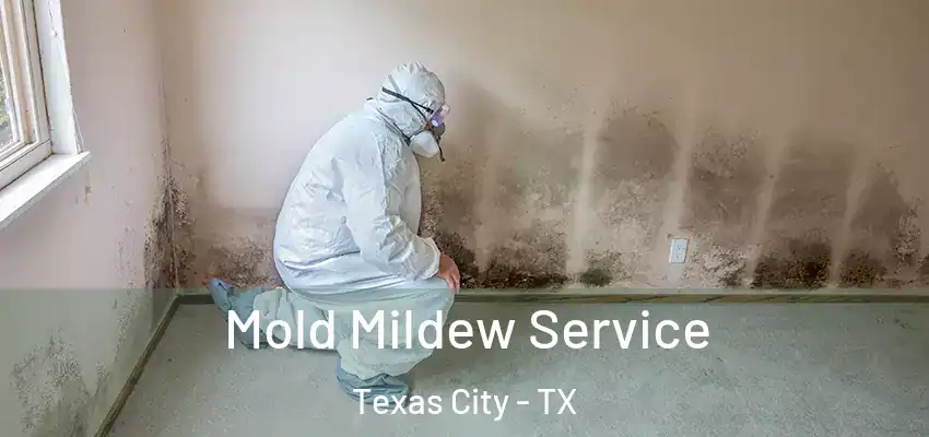  Mold Mildew Service Texas City - TX