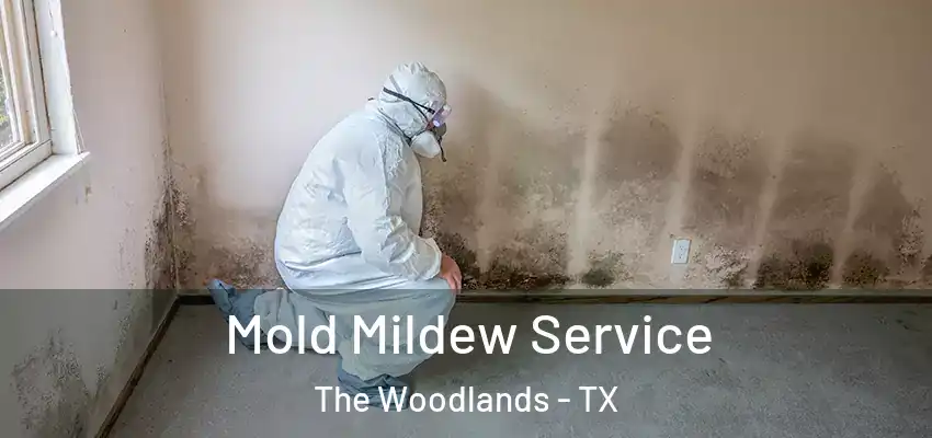  Mold Mildew Service The Woodlands - TX
