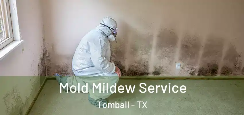  Mold Mildew Service Tomball - TX