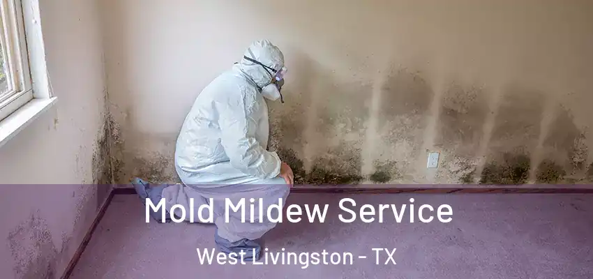  Mold Mildew Service West Livingston - TX