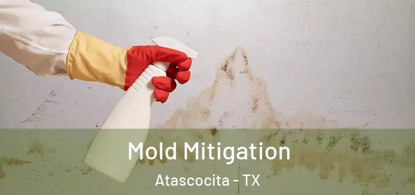  Mold Mitigation Atascocita - TX