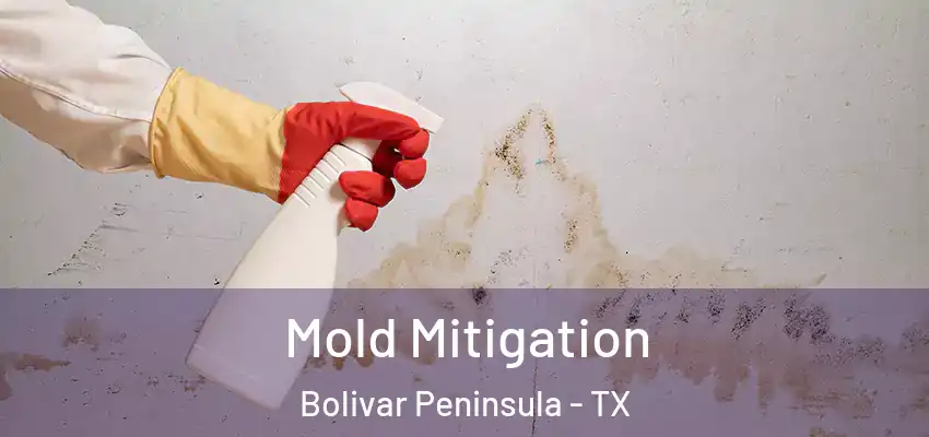  Mold Mitigation Bolivar Peninsula - TX