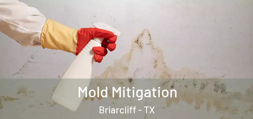  Mold Mitigation Briarcliff - TX