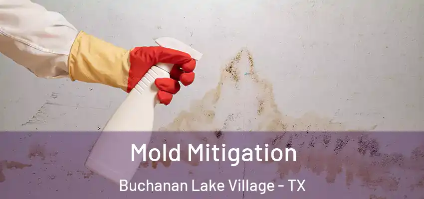  Mold Mitigation Buchanan Lake Village - TX