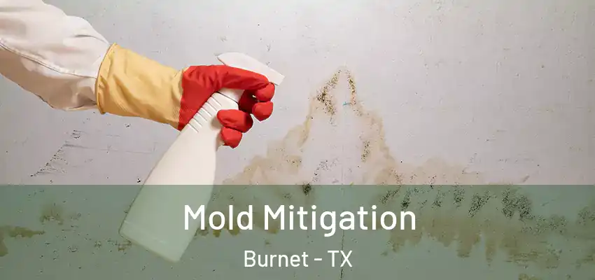  Mold Mitigation Burnet - TX