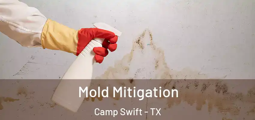  Mold Mitigation Camp Swift - TX